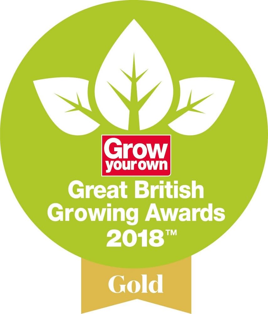 Spear & Jackson 3982FR Neverbend Stainless Steel Flexo Lawn Rake