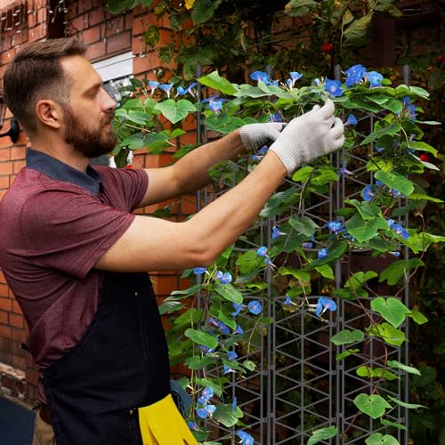 NiHome 6-Pack 50 Inches Garden Trellis for Climbing Plants Outdoor, Plant Support Trellis Cage for Clematis, Roses, Jasmine and Vines Such as Tomatoes, Grapes, Cucumbers and Blackberries