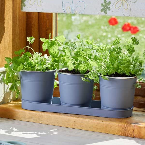 Marco Paul Set of 3 Slate Herb Plant Pots with Drip Tray for Kitchen Windowsill Herb Planters deal for an Indoor Herb Garden, Plants and Flowers Grow Your Own Herbs for cooking
