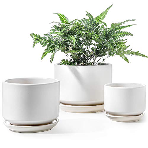 LE TAUCI Ceramic Plant Pots Set of 3 with Saucers
