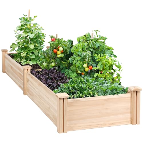 Yaheetech 8×2ft Wooden Horticulture Raised Garden Bed Divisible Elevated Planting Planter Box for Flowers/Vegetables/Herbs in Backyard/Patio Outdoor, 245.5 x 62.5 x 27cm