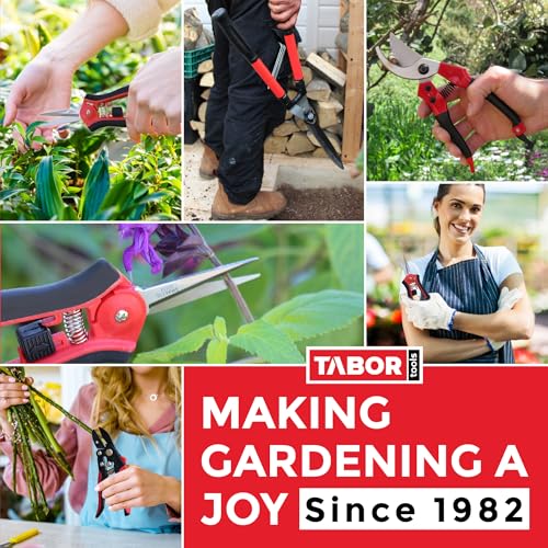 TABOR TOOLS J16E Telescopic Metal Rake, 160 cm long, Adjustable Folding Leaves Rake for Quick Clean Up of Lawn and Yard, Garden Leaf Rake, Expanding Handle with Adjustable 20-58cm Folding Head