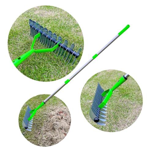 Stainless Steel Thatch Rake with Curved Steel Tines, Dethatcher Lawn Rake for Clearing Dead Grass, Ergonomic Handle, 3 Sections Rods, for Thatching, Fertilizing, Reseeding Tilling