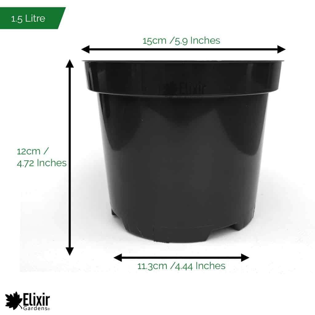 Elixir Gardens Round Black Recycled Plastic Garden Plant/Shrub/Flower Pots with Reinforced Rim | Various quantities (from 2 to 1000) & sizes (1 to 60 litres) 1.5L x 10