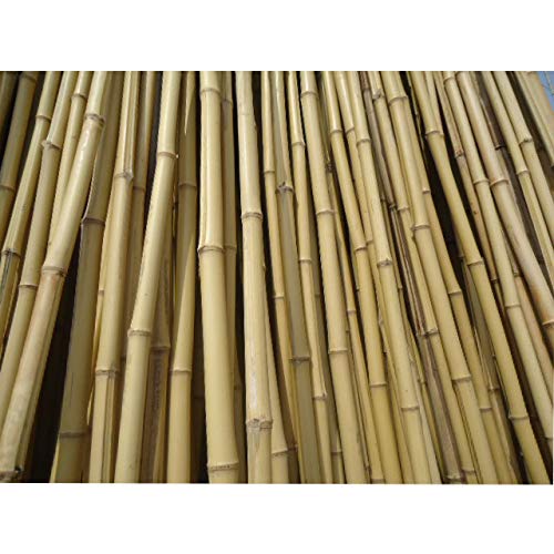 FlickBuyz Gardens Strong Thick Heavy Duty Professional Bamboo Plant Support Garden Canes (30, 4FT, 8-10MM)