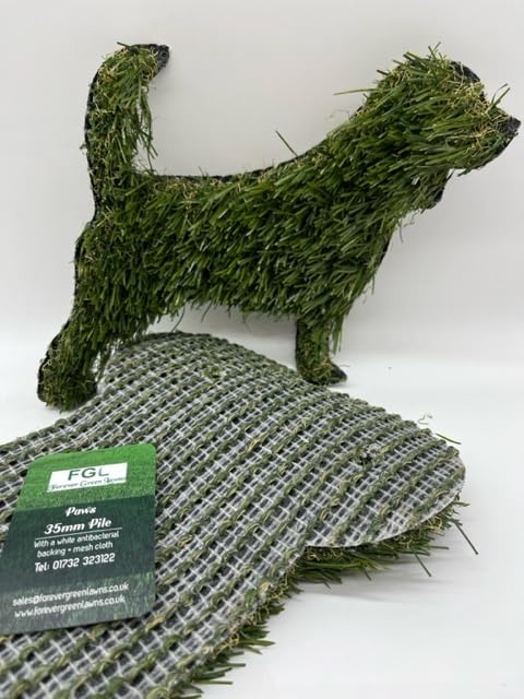 Paws Artificial Grass 1m x 1m Puppy Potty Pad Grass Mat, Antibacterial backing Dog Grass Training Pads, Artificial Turf Pet Grass Mat Replacement for Puppy Potty Trainer Indoor/Outdoor Use 35mm Pile