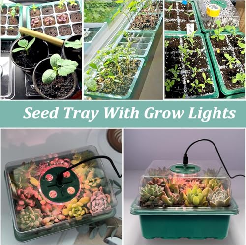 VDYXEW 5 Pack Propagator with Lights, Seed Trays, Seed trays with lids, Mini Greenhouse Propagator kit for Germination Growing