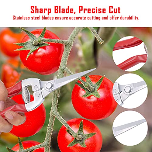 Garden Pruning Shears Gardening Scissors Snips Micro-Tip Hand Pruning Secateurs Clippers Leaf Trimmer for Bonsai Plant Trimming Fruit Vegetable Lettuce and Harvesting Hedge Shears