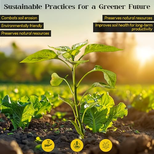 Renaissance Organic Plant Food - All Purpose Fertilizer for Outdoor & Indoor Gardening - Fertiliser Booster for Houseplants, Vegetables, Fruit Trees, Industrial Crops, Legumes | 5.44 kg Bag