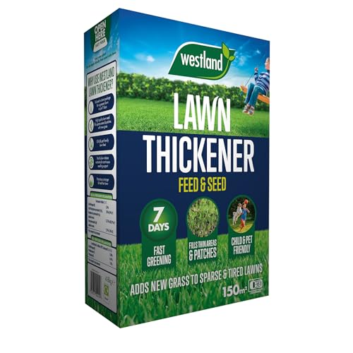 Westland Lawn Thickener 150m2 Box, Brown
