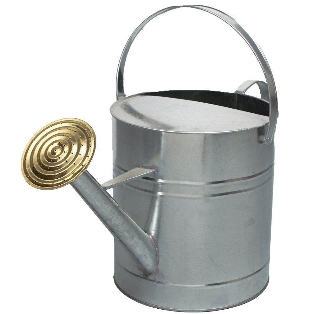 Easy Shopping® 9 Litres / 2 Gallon Garden Plant Flower Galvanised Metal Steel Watering Can with Brass Rose