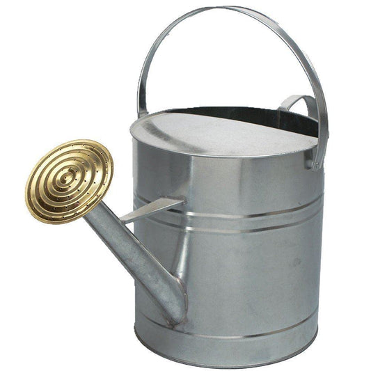 Easy Shopping® 9 Litres / 2 Gallon Garden Plant Flower Galvanised Metal Steel Watering Can with Brass Rose