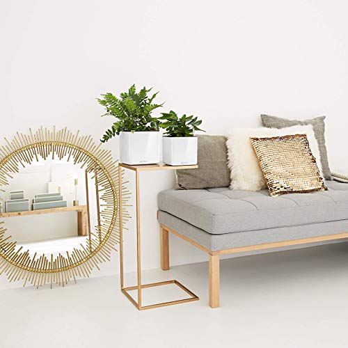 LECHUZA Self Watering Plant Pots Indoor CUBE Glossy 14 Small Plastic Planter without Drainage Hole H14 L14 W14 cm White High-Gloss