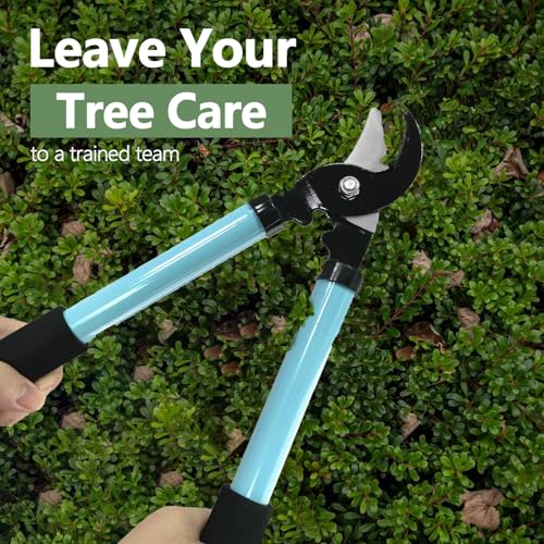 HAISHANG Bypass Loppers, 38cm Branch Lopper with Hardened Steel Blade and Non-Stick Coating, Effortless Garden Tree Trimmer, High-Capacity Tree and Branch Cutter for Efficient Gardening