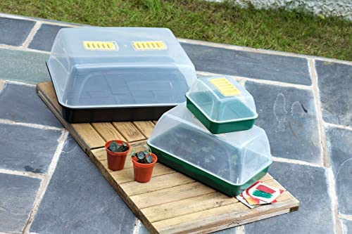 Rammento 38cm Medium Propagation Kit with Seed Tray & Dome Lid | Windowsill Greenhouse, Plastic Propagator for Plants | Indoor Gardening Set