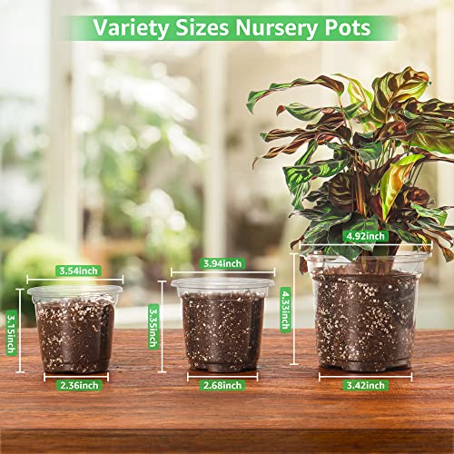 MIXC 36 Packs 3.5/4/5 Inch Clear Nursery Pots, Transparent Plastic Planter with Drainage Holes, Seed Starting Pot Flower Plant Container -Clear