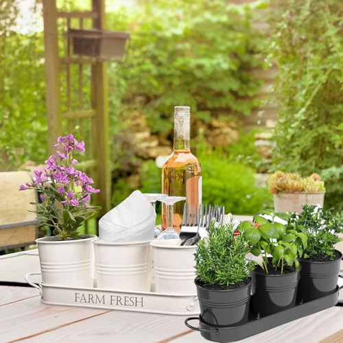 BSTMOME Herb Pot Planter Set with Tray for Indoor Garden Outdoor Use, Decorative Metal Succulent Pots Windowsill Planter Pots Flower Pots for Kitchen Grow (Black)
