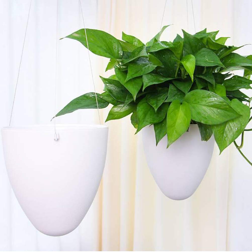 LOYUYU 3 Pack Self Watering Hanging Planter, Succulent Flower Pot Air Plant Holder, Unique Eggshell Hanging Succulent Flower Pots, Home Garden Office Indoor Decorative Container Matte White