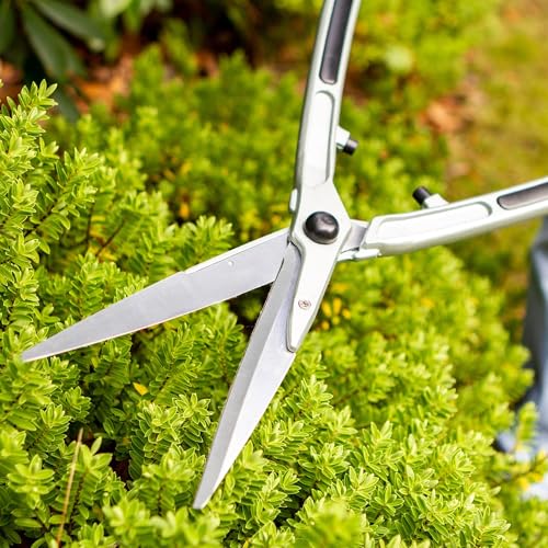 Darlac Lightweight Shear 8” – Extra Long Razor Sharp Blades for Greater Cut Capacity – Long Handles For Extra Reach Ideal For Grass & Hedge Trimming & Topiary – Lightweight SK5 High Carbon Steel Blade