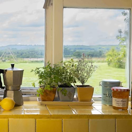 Haxnicks Windowsill Plant Pot Set, Rice Husks, Multi Colour, L29.5 x W10 x H10cm