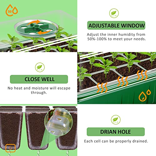 YAUNGEL Seed Trays, 12 Pack 144 Cells Propagator Growing Thicken Seedling Starter Growing Trays with Clear Lids/Adjustable Window for Greenhouse & Gardens, Green