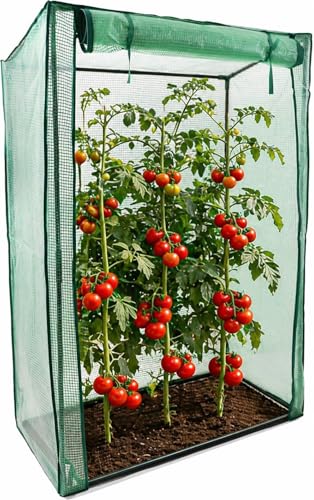 DIVCHI Tomato Growhouse with Roll-Up Door