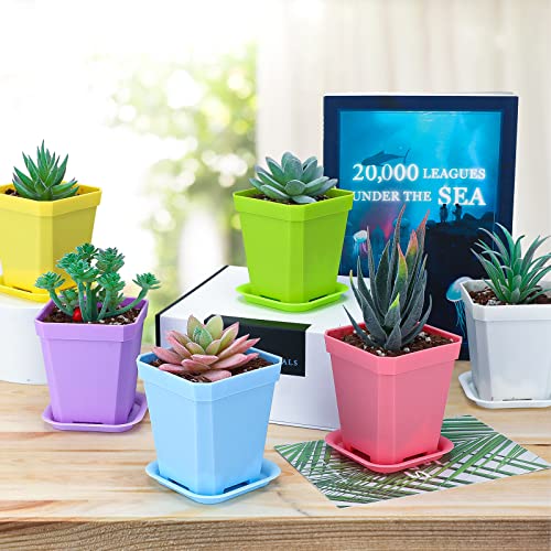 KINGLAKE 12Pcs 7cm Plastic Square Plant Pots with Trays, Thick Seed Seedling Pots, Small Coloured Nursery Flower Pots for Vegetables Cuttings Succulent Cacti Herbs