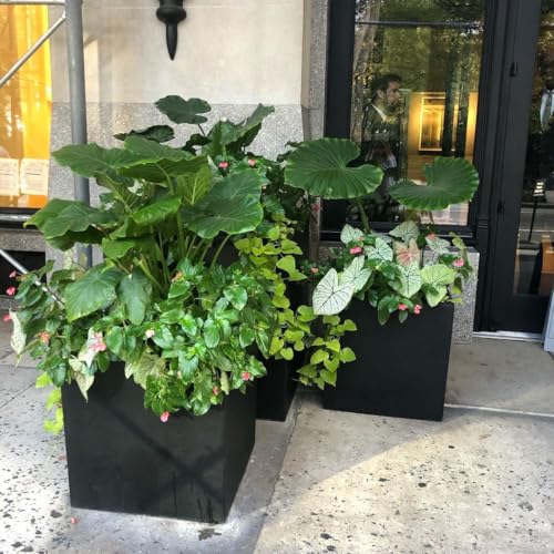IDEALIST 50cm Large Square Planter for Trees | Black Reinforced Stone Flower Pot with Drainage Holes L50 W50 H50.5 cm, 92 litres