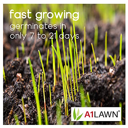 A1 Lawn Luxury Hard Wearing Grass Seed, 5kg (140m2) - Premium Quality Lawn Seed, Fast Growing, Child & Pet Friendly, Ideal for New Lawns & Overseeding - UK Harvested DEFRA Approved (AMPRO8)