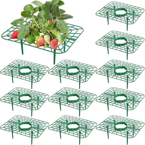GIONAR Square Strawberry Plant Supports – 12 Pack