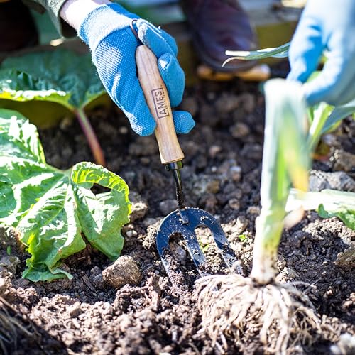 AMES Hand Fork - Carbon Steel