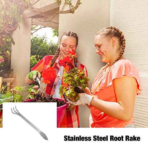 Haofy Stainless Steel Bonsai Rake, 3-Prong Root Rake for Loosening Soil, Bonsai Tree Gardening Tools with Ergonomic Handle for Flowers Plants