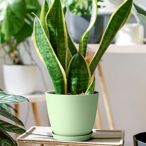 FORAGIFT 16 Pack 15cm Plastic Plant Pots for Indoor Flower Pots, Heavy Duty and Stylish Plant Pots for Indoor Plants with Drainage Holes and Tray for Plants, Flowers, Green