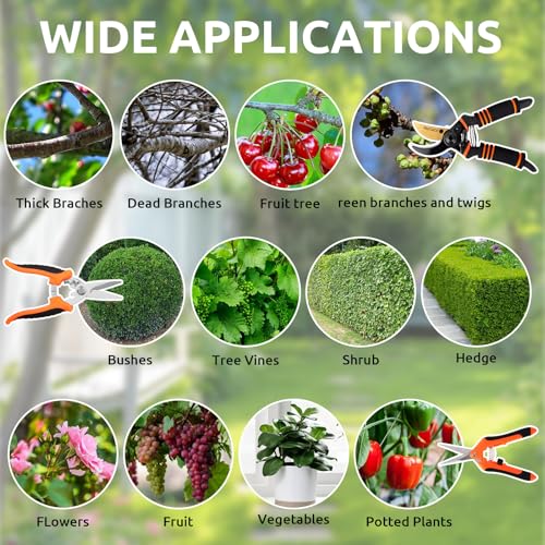 FACIACC Garden Secateurs 3 Pack, Pruning Shears Bypass Pruning Scissors, Pruner Secateurs with Sharp SK5 Steel Blades, Professional Hand Pruners for Plants Hedges Flowers