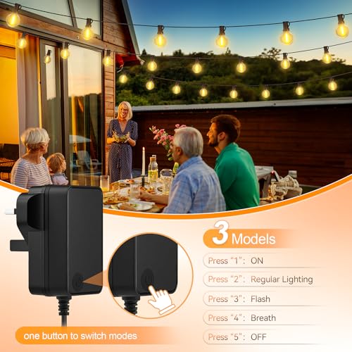 Outdoor String Lights Mains Powered - G40 Garden Festoon Lights 100FT/30M Dimmable with Remote Control Shatterproof LED Bulbs 3 Modes & 2 Timer Settings Waterproof for Outdoor Patio Gazebo Pergola