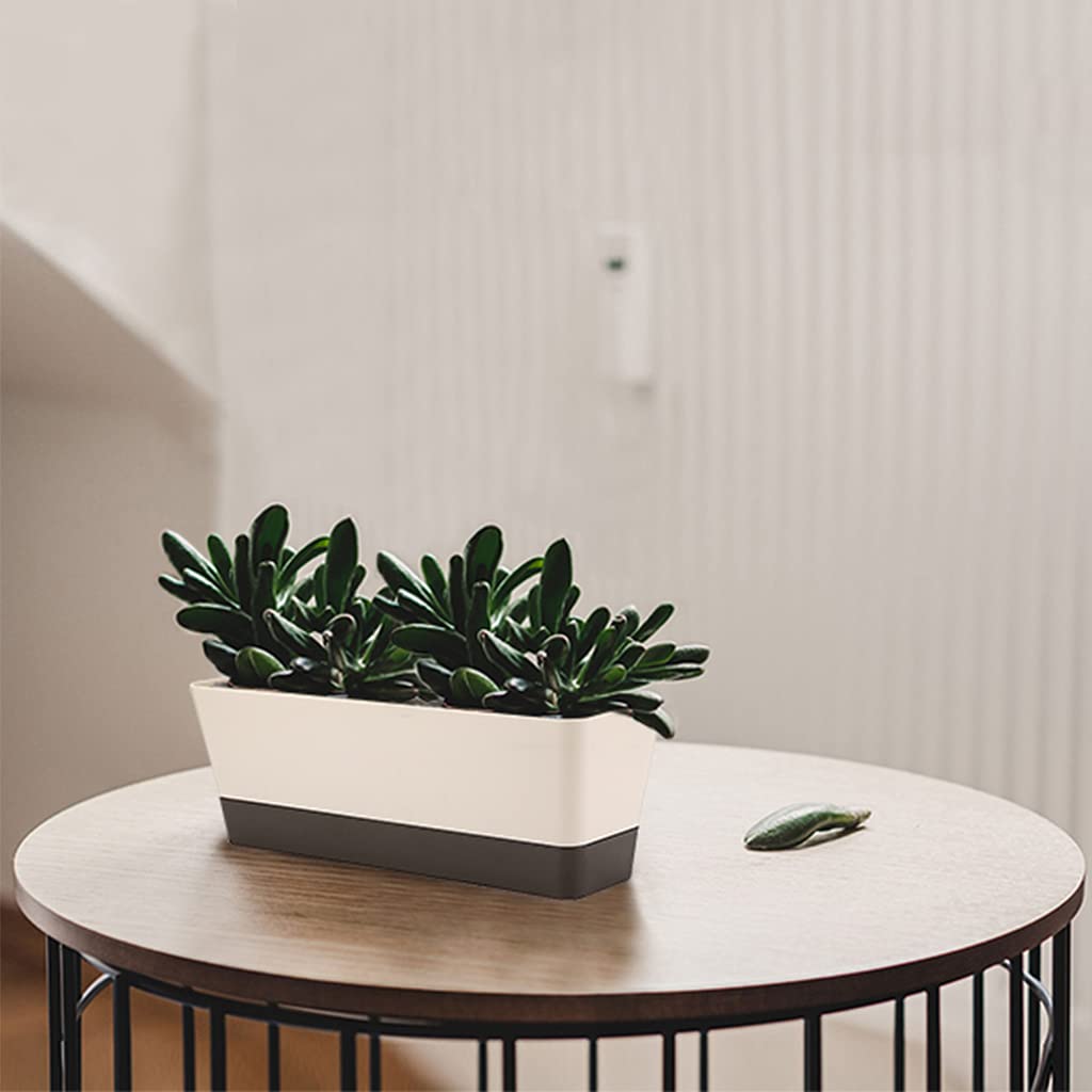 Skelang 3 Pcs Rectangle Plant Pot, Succulent Planter Box with Drainage Holes, Planter Trough for Bay Window, Kitchen Windowsill, Shelf, Coffee Table