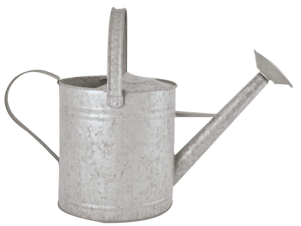 Fallen Fruits 3.5 Litre Old Zinc Watering Can, M