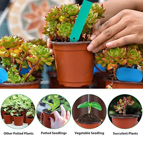 SHEEFLY 100 Pack Plant Nursery Pots 4 inch Plastic Plant Pots, Soft Durable Reusable Seed Starting Pots for Succulents Plants Vegetables Fruits Seedlings Cuttings Transplanting with 100 Plant Labels