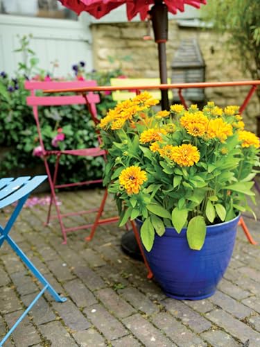 Gardenesque Feather Recycled Plastic Garden Pot Planter with Drainage Holes | Lightweight, UV Resistant & Frostproof | 38cm | Blue