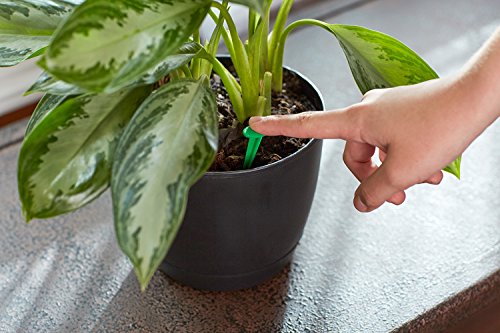 Home-APP Miracle-Gro 300157 Indoor Plant Food 48-Spikes, 2.2-Ounce Garden, Lawn, Supply, Maintenance