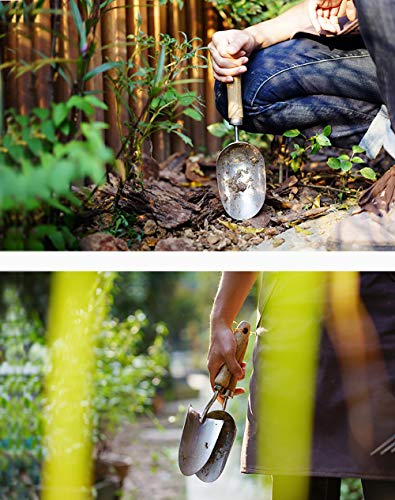 Hand Trowel,Stainless Steel Garden Trowel,Ergonomic Hand Shovel for Weeding, Transplanting and Digging in Garden Beds