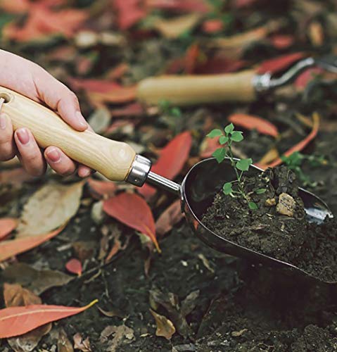 Hand Trowel,Stainless Steel Garden Trowel,Ergonomic Hand Shovel for Weeding, Transplanting and Digging in Garden Beds
