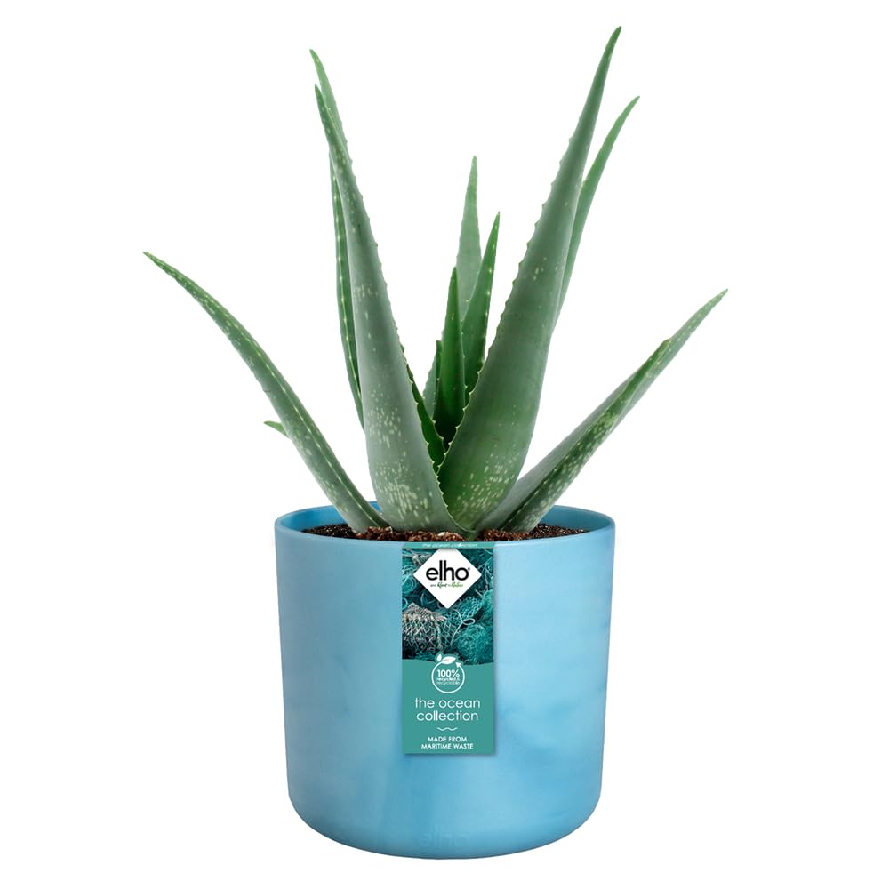 elho The Ocean Collection Round 18cm - Flower Pot Indoor - 100% Recycled - Made with Marine Waste - Blue/Atlantic Blue