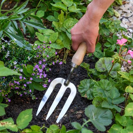 Burgon & Ball GTH/SHFRHS RHS Stainless Steel Hand Fork