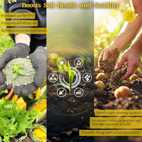 Renaissance Organic Plant Food - All Purpose Fertilizer for Outdoor & Indoor Gardening - Fertiliser Booster for Houseplants, Vegetables, Fruit Trees, Industrial Crops, Legumes | 5.44 kg Bag