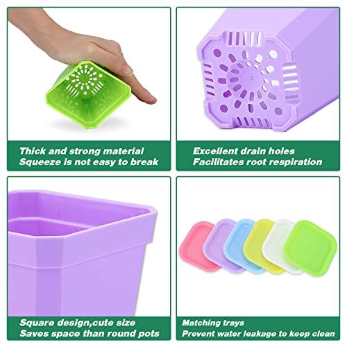 KINGLAKE 12Pcs 7cm Plastic Square Plant Pots with Trays, Thick Seed Seedling Pots, Small Coloured Nursery Flower Pots for Vegetables Cuttings Succulent Cacti Herbs