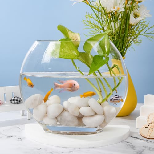 Hisredsun 2.1lb White Polished Stones 3-5cm Natural River Pebbles Gravel for Aquarium, Flowerpot, Landscaping, Vase Fillers and Garden Decoration