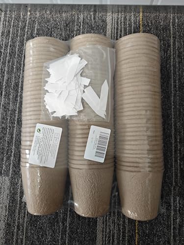 LATERN 100Pcs 8CM Biodegradable Fibre Seed Pots for Seedling and Transplanting with 100Pcs Plastic Plant labels (White 5cm x1cm)