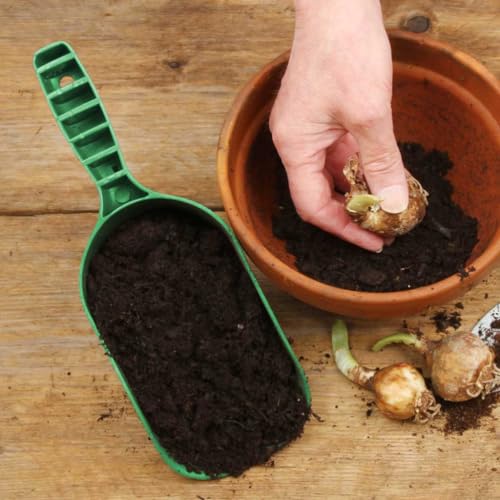 Bosmere Handy Scoop, Green, K120