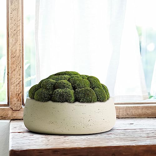 Olly & Rose Ivory Home Decor Ceramic Planter Bowl - Shallow Indoor and Outdoor Plant Pot - Decorative Flower Pot and Garden Bowl (28.5cm)